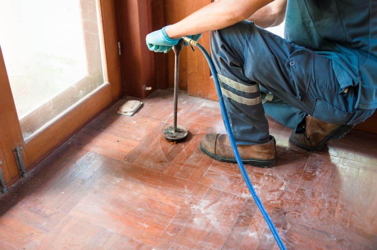 Termite Treatment in Siliguri